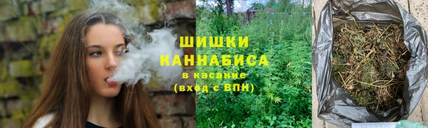 гидра Гусев