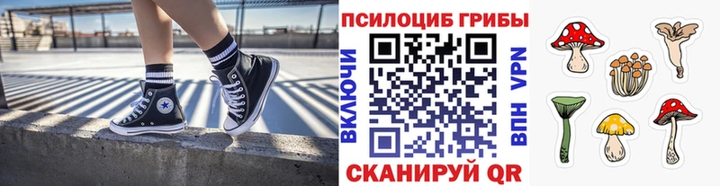 Галлюциногенные грибы Psilocybe  mega зеркало  сайты даркнета состав  Емва 