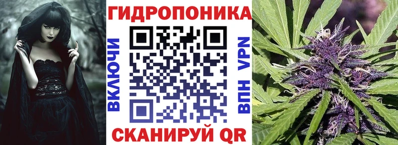 Бошки Шишки ГИДРОПОН  купить  цена  Емва 
