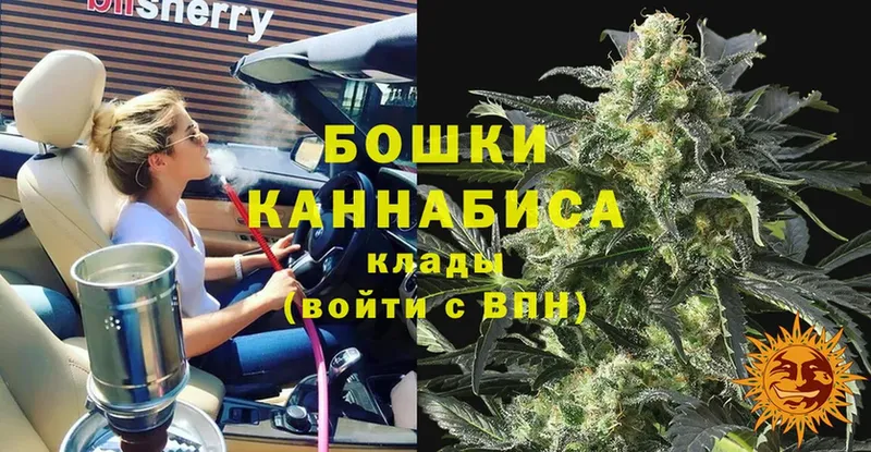 купить наркотики цена  OMG ссылка  Канабис LSD WEED  Емва 